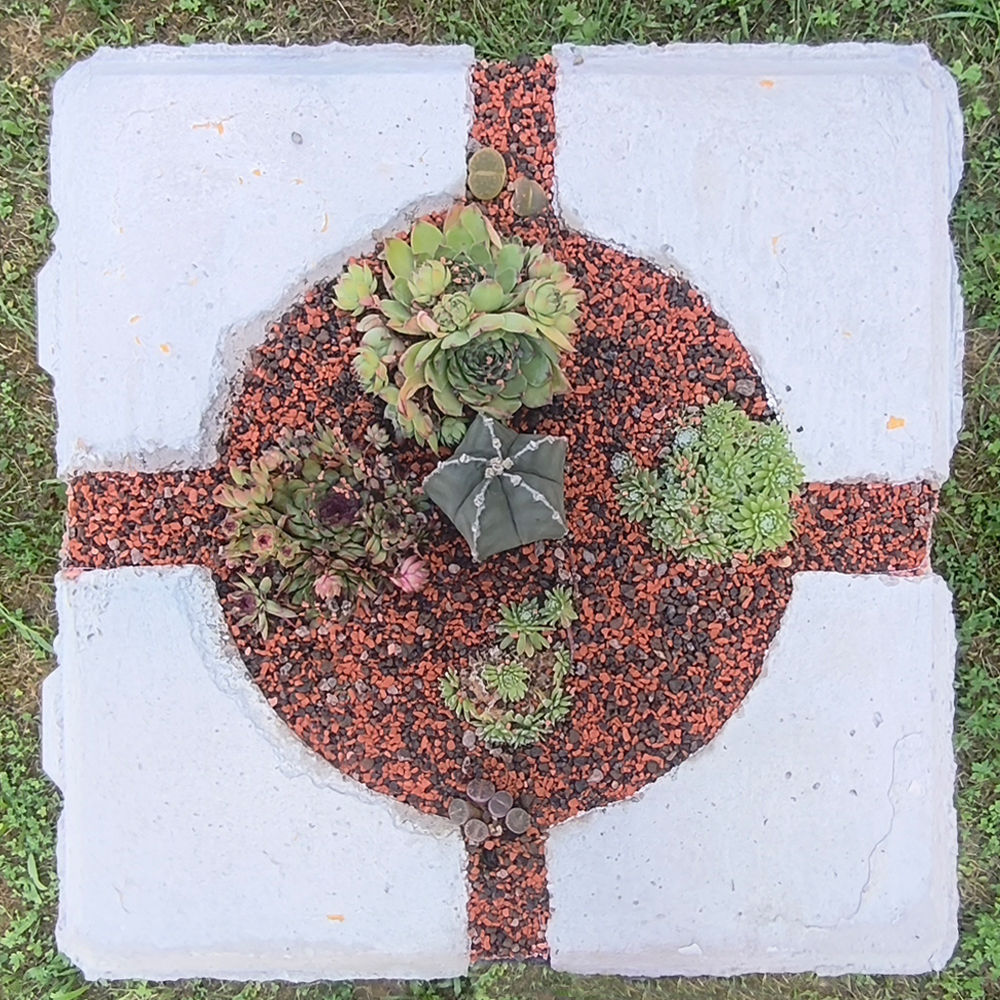 ZenGarden